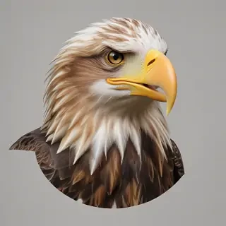 eagle transparent