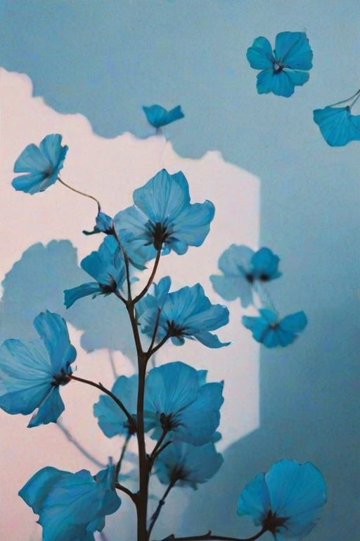 blue aesthetic photos