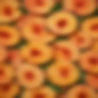 peach background aesthetic