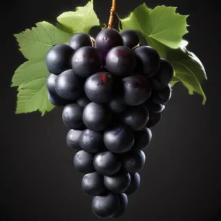 grapes clipart black and white