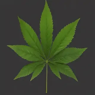 weed leaf png