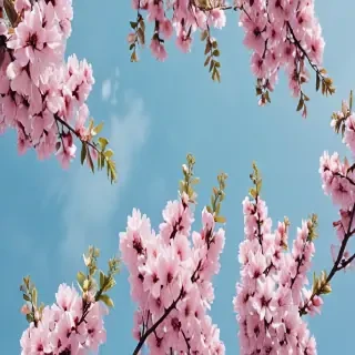 spring wallpaper aesthetic