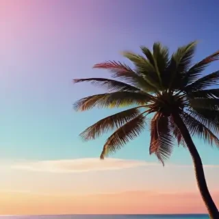 summer iphone wallpaper