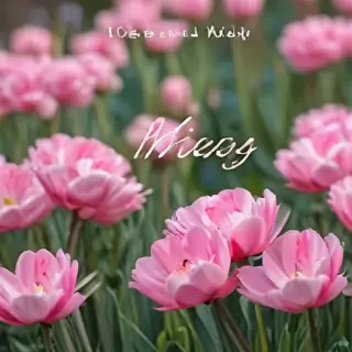 hello may images