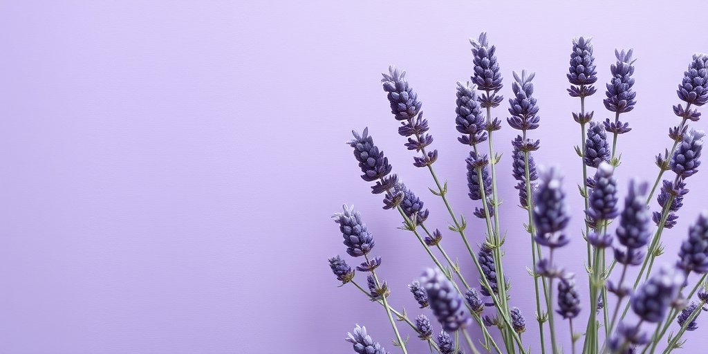 aesthetic lavender wallpaper