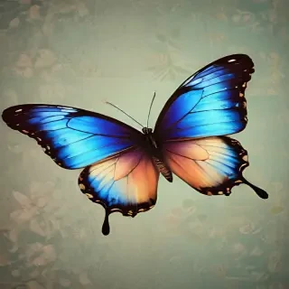 butterfly wallpaper for computer