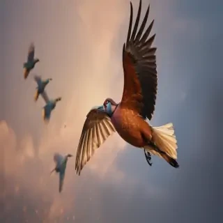 png birds flying