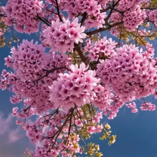 happy wallpaper iphone