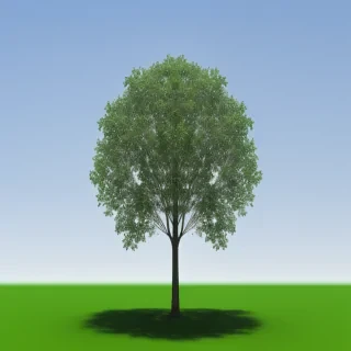 trees transparent background
