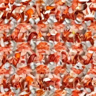 shrimp png