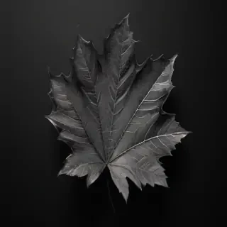 leaf in black and white