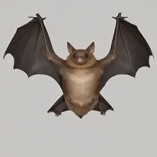 bat png