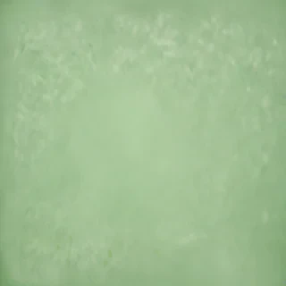 plain light green background