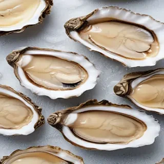 oysters png