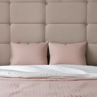 bed back ground
