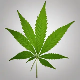 pot leaf png