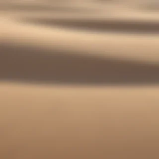 cartoon sand