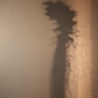 shadow wallpaper
