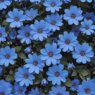 aesthetic blue flowers