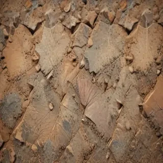 texture phone wallpaper