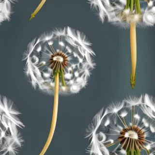 dandelion png