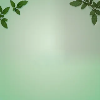 mint background