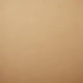 grain paper texture