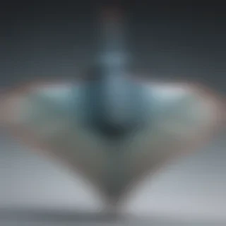 stingray png