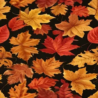 autumn leaves png