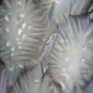 textures transparent