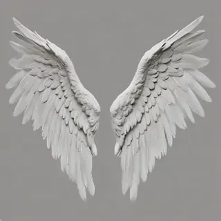 angel wings png transparent