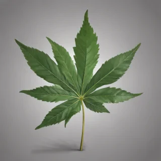 pot leaf png