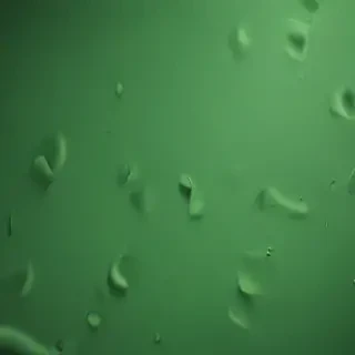 iphone wallpaper green