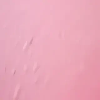 pastel pink bg