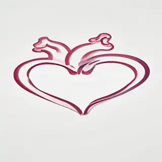 heart outline transparent