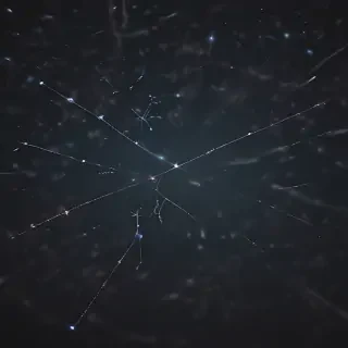 constellation png