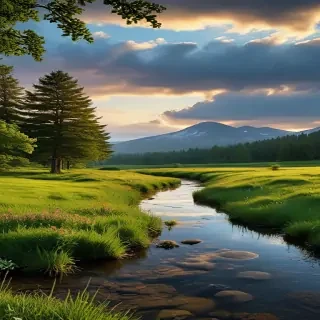 nature wallpaper