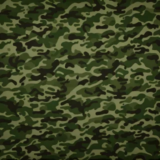 camo background