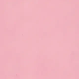 pastel pink bg
