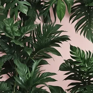 aesthetic plant wallpaper