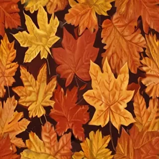 fall leaf png