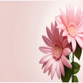 pink flower transparent background