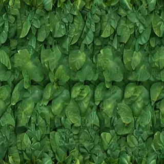 leaf backgrounds