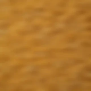 pasta png