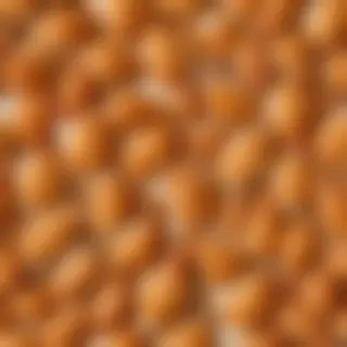 chicken background