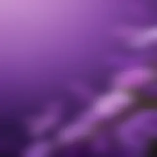 purple cute wallpaper