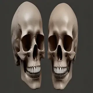 skull png transparent