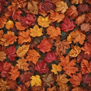 autumn leaves iphone wallpaper