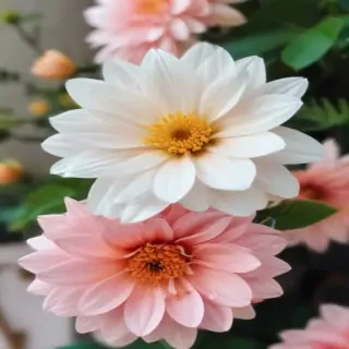 cute flower wallpaper aesthetic