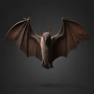bat png